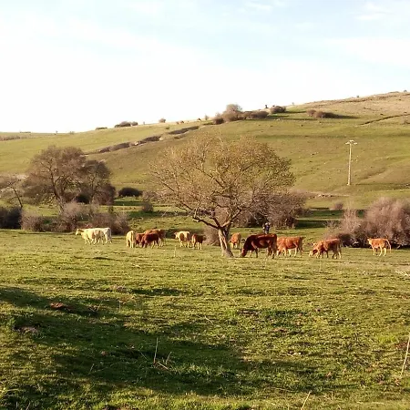 Tatil Evi Casa Siete Picos Torrecaballeros