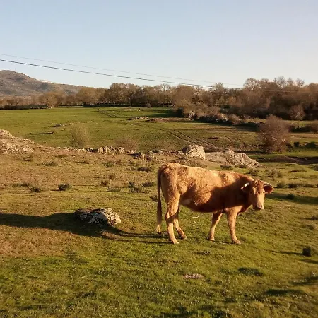 Casa Siete Picos * Torrecaballeros