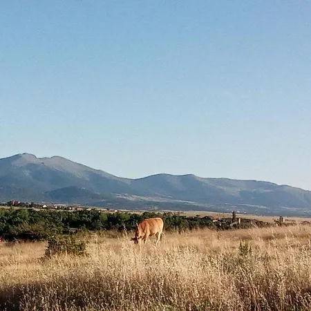Casa Siete Picos 펜션 토레카바예로스