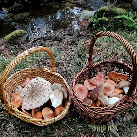 Casa Siete Picos * 토레카바예로스