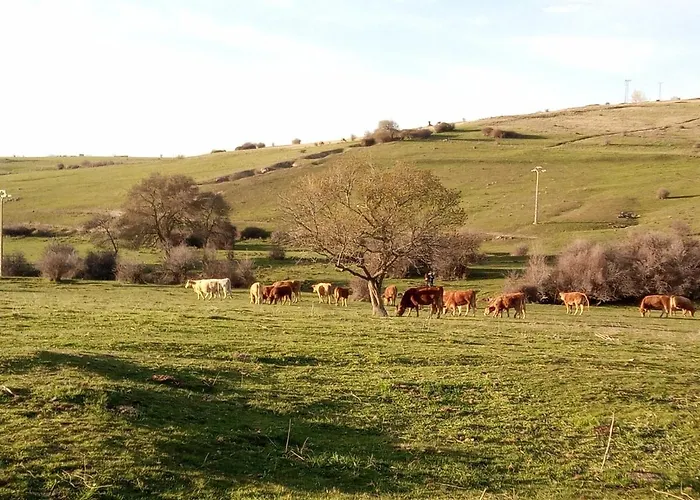 Hébergement de vacances Casa Siete Picos Torrecaballeros
