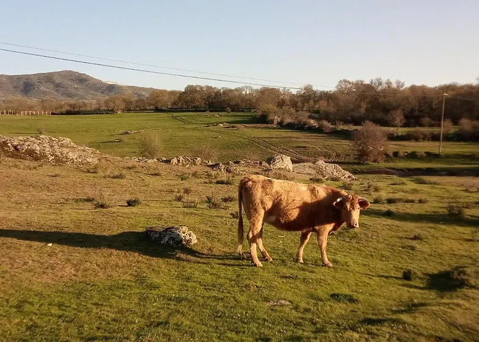 Casa Siete Picos * Torrecaballeros