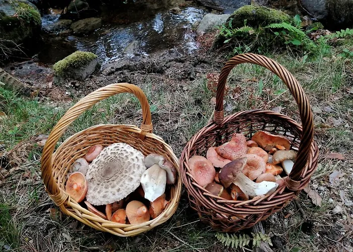 Casa Siete Picos * Torrecaballeros